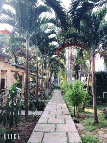 Hostal The Palm Tree Guesthouse