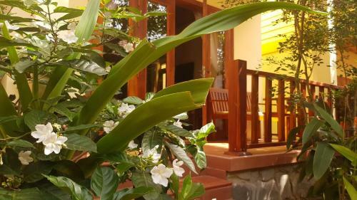 Hotel Free Beach Resort