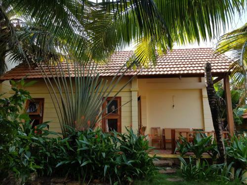 Hotel Free Beach Resort
