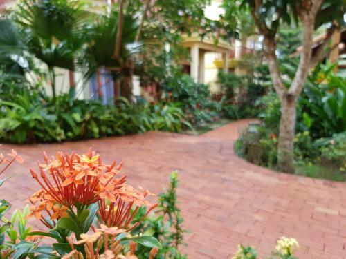 Hotel Free Beach Resort