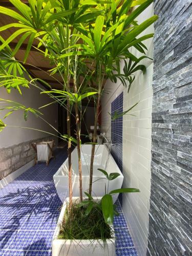 Hotel Mai House Resort