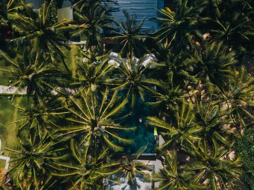 Hotel Vida Loca Sunset Beach Resort