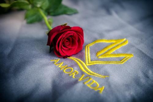 Apartamento Amor Vida Quy Nh?n