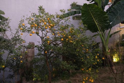 Hostal Sapa Charming Homestay