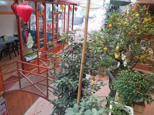 Hostal Dang Khoa Garden Inn
