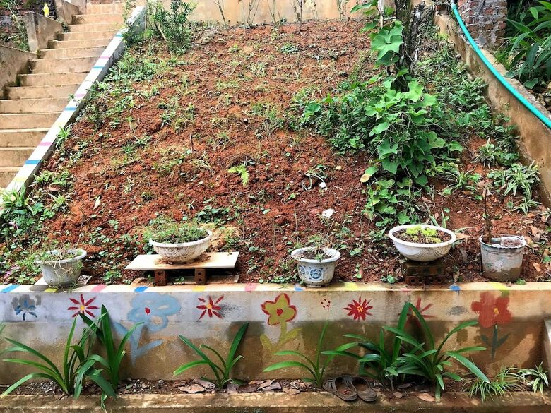 The Hill Sapa Homestay