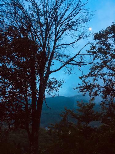 The Hill Sapa Homestay