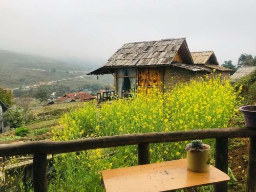 Hotel C?mlam Eco House