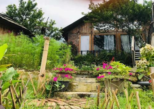 Hotel C?mlam Eco House