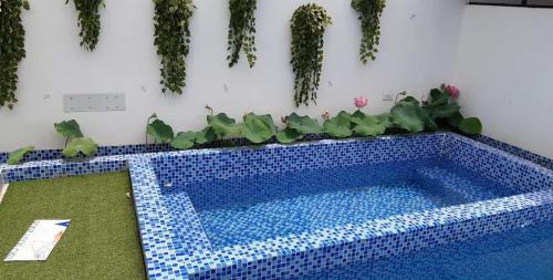 Hotel Balanha