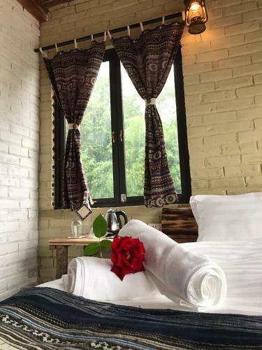 Hotel Plum Eco House