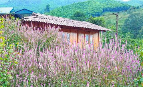Lodge Sapa Big Rock Ecohome