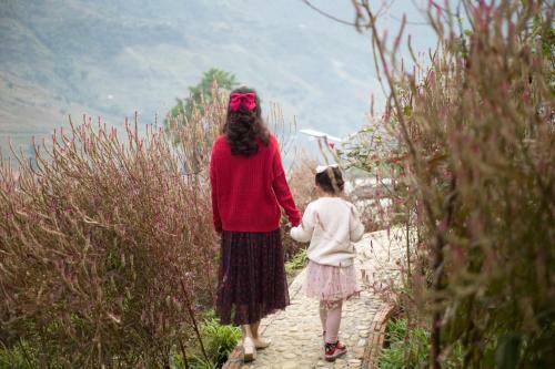 Lodge Sapa Big Rock Ecohome