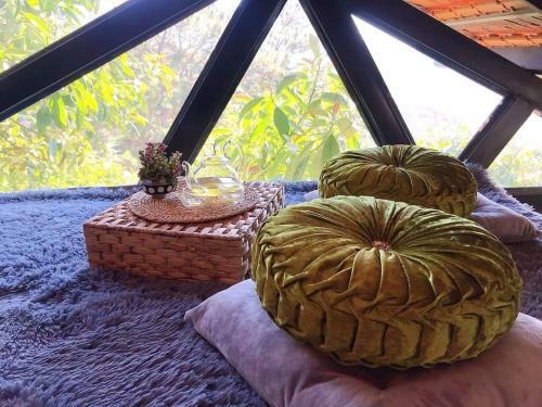 T?i L� ? Homestay