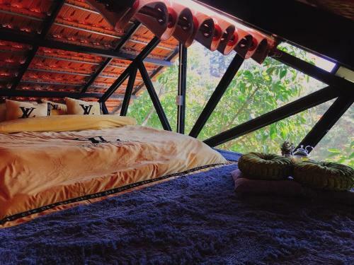 T?i L� ? Homestay