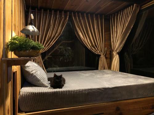 T?i L� ? Homestay
