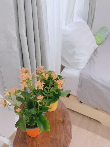Y?n's Homestay Ph� Y�n