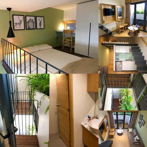 The Avis Apartments - Greathouse