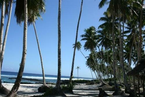 Hotel Return To Paradise Resort