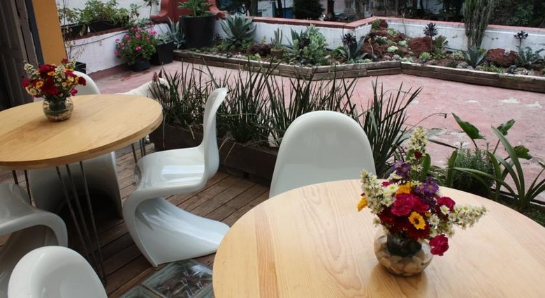 Bed & Breakfast La Querencia Df