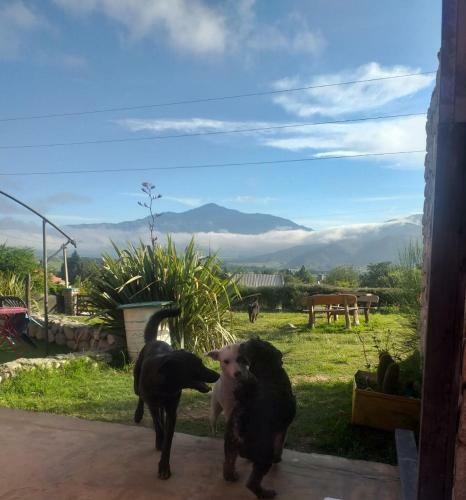 La Posada De Tafi