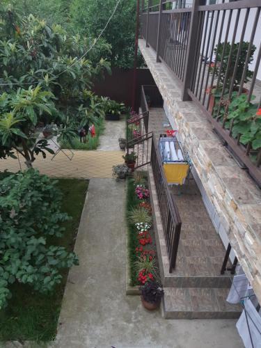 Hostal ???????? ??? ?? ??????