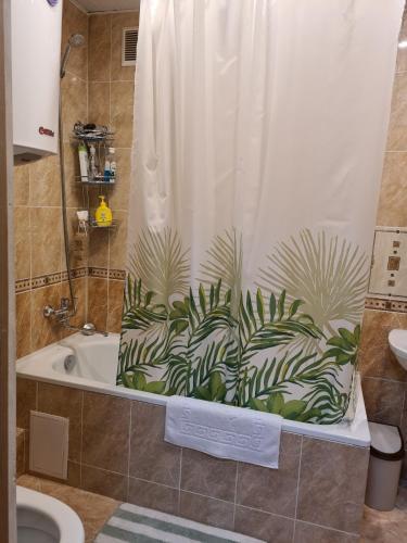 Apartamento 2?-????????? ???????? ? ???????