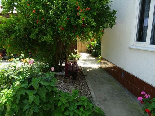 Hostal Pomegranate Yard