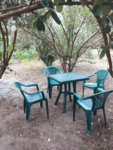 Hostal Pomegranate Yard
