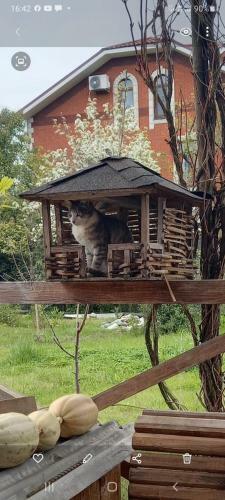 Posada ???????