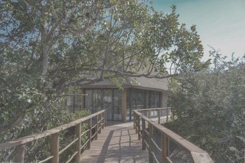 Barefoot Addo Elephant Lodge