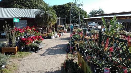 Apartamento Evergreen Salt Rock