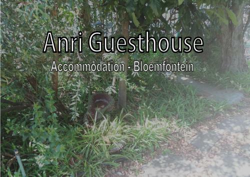 Hostal Anri Guesthouse