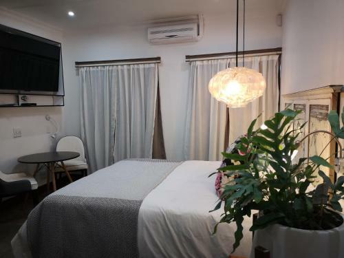 Hostal Inbloem