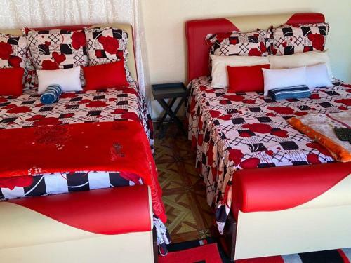 Bed & Breakfast Executive Rooms Belville