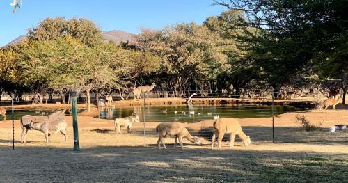 Tulababa Guest Lodge