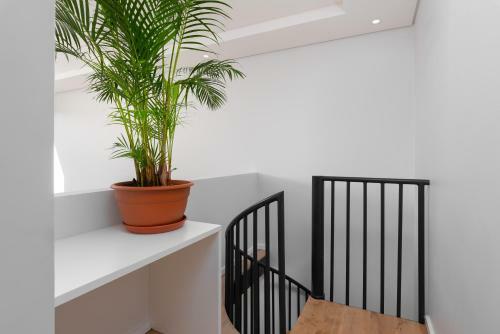 Apartamento Tenonq 14b