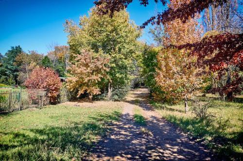 Apartamento Forest Lane