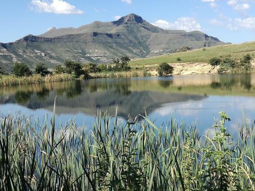 Apartamento Gypsy Wagons Clarens
