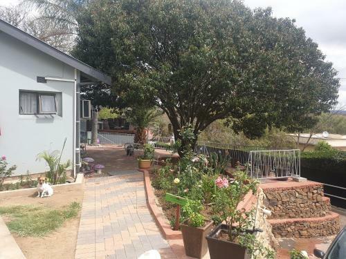 Hostal The Haven: Make Our Home Your Home