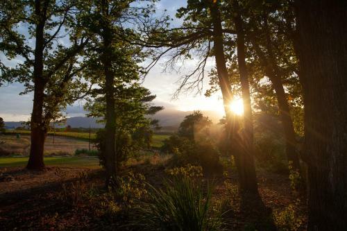 Hostal Elgin Vintners Country House