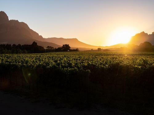 Hostal Lynx Wine Estate
