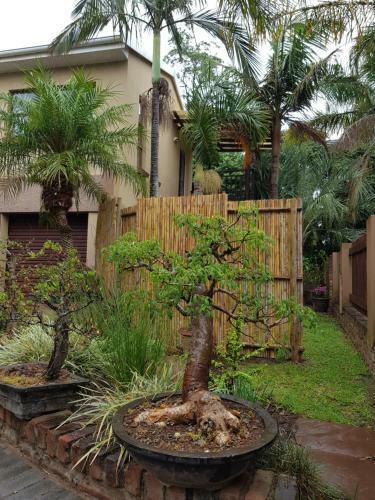 Apartamento Paradise Flycatcher Accomodation