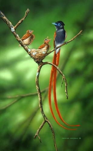 Apartamento Paradise Flycatcher Accomodation