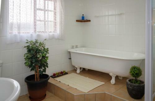 Hostal Crowned Crane