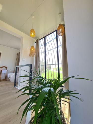Lodge Buff & Fellow Eco Cabins