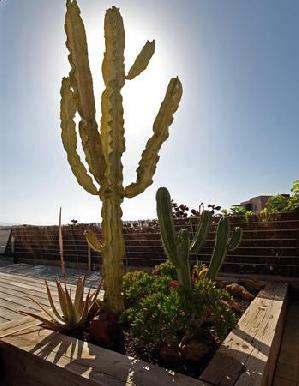 Top Salobre Villas