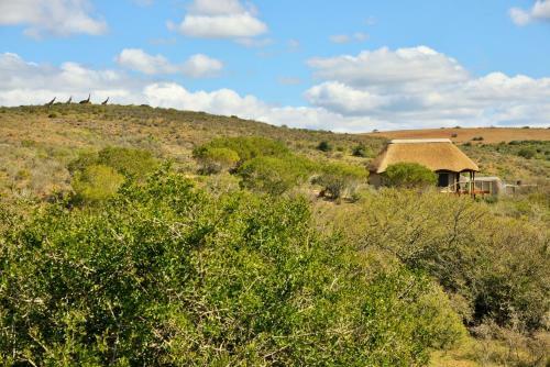 Hotel Garden Route Safari Camp