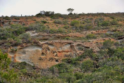 Hotel Garden Route Safari Camp