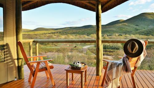 Hotel Garden Route Safari Camp